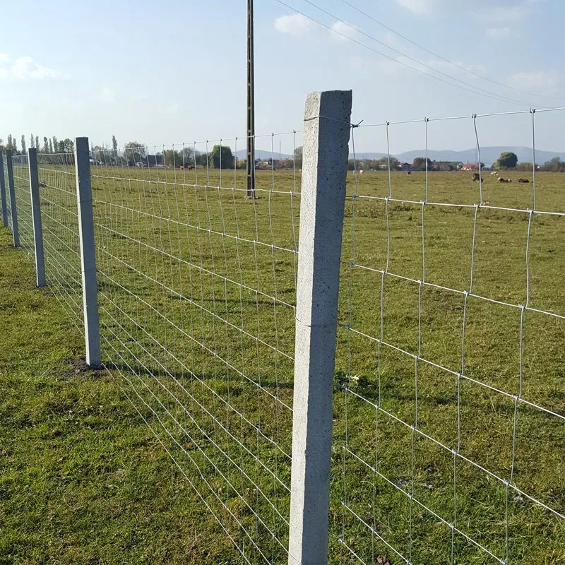Hegesztett háló kerítés betonoszlopokkal – mezőgazdasági – részlet 2